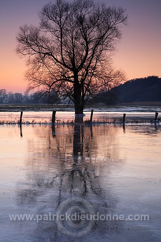 Vallee de Meuse en hiver, Meuse, Lorraine, France - FME053