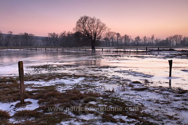 Vallee de Meuse en hiver, Meuse, Lorraine, France - FME056