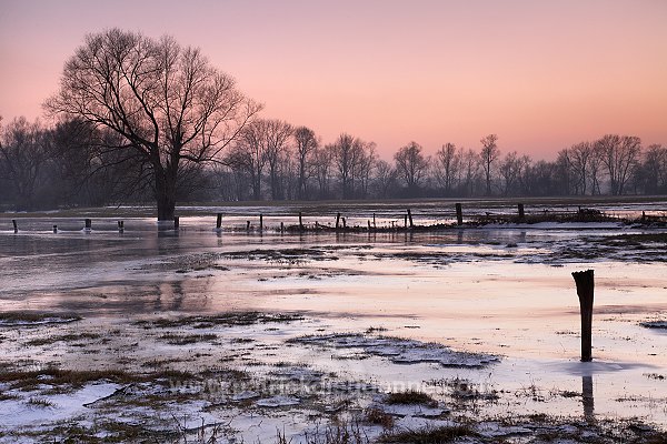 Vallee de Meuse en hiver, Meuse, Lorraine, France - FME057