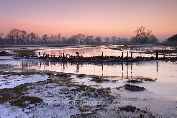 Vallee de Meuse en hiver, Meuse, Lorraine, France - FME059