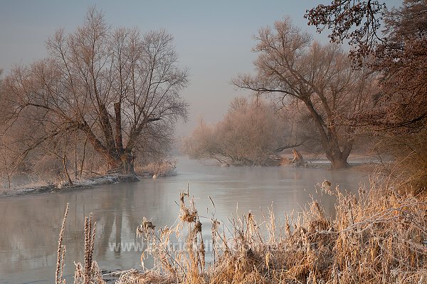 Vallee de Meuse en hiver, Meuse, Lorraine, France - FME064