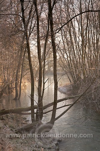 Vallee de Meuse en hiver, Meuse, Lorraine, France - FME078