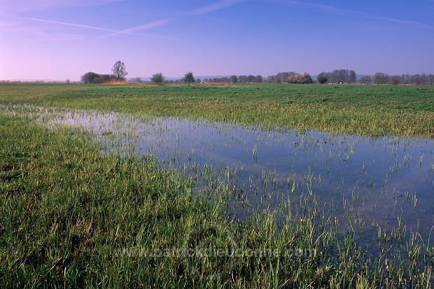 Mouzay, Meuse - Prairies humides, vallee de la Meuse - 18453