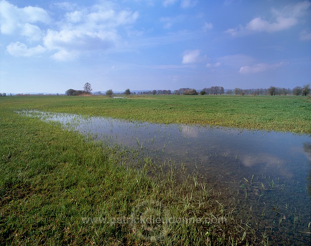 Mouzay, Meuse - Prairies humides, vallee de la Meuse - 18457