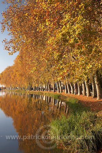 Canal en automne, Bar-le-Duc, Meuse, France - FME013