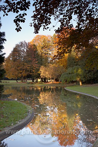 Parc, Chateau de Marbeaumont, Bar-le-Duc, France - FME022