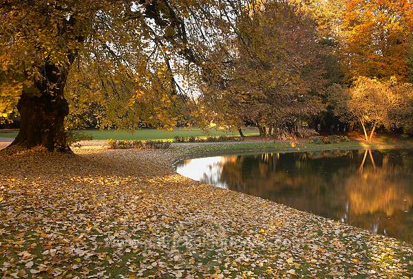 Parc, Chateau de Marbeaumont, Bar-le-Duc, France - FME023