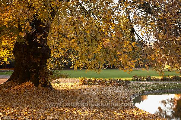 Parc, Chateau de Marbeaumont, Bar-le-Duc, France - FME024