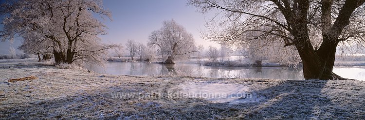 Arbres et givre, Meuse en hiver, Lorraine, France - FME153