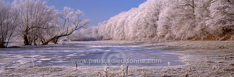 Arbres et givre, Meuse en hiver, Lorraine, France - FME154