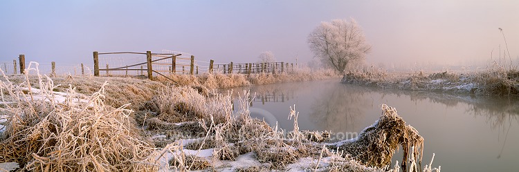 Petite Meuse en hiver, Lorraine, France - FME159