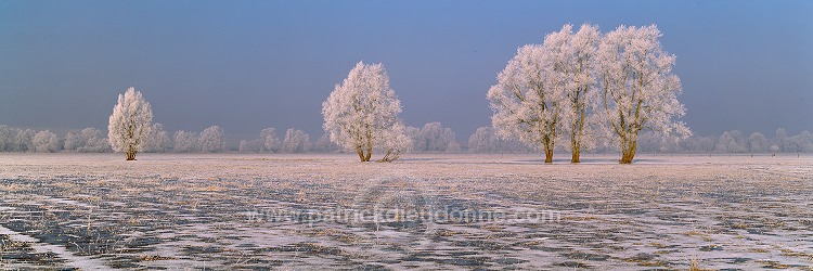 Vallee de Meuse en hiver, Lorraine, France - FME160