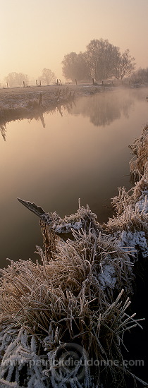 Petite Meuse en hiver, Lorraine, France - FME167