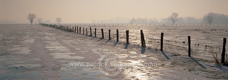 Vallee de Meuse en hiver, Lorraine, France - FME168