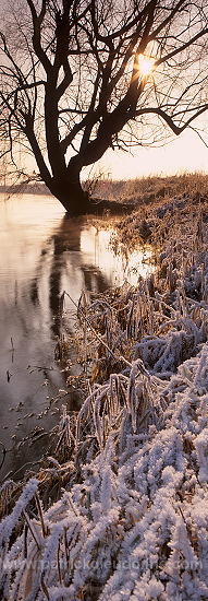 Vallee de Meuse en hiver, Lorraine, France - FME169