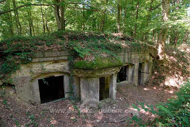 Abri du Kronprinz, Argonne, Meuse (55), France - FME208