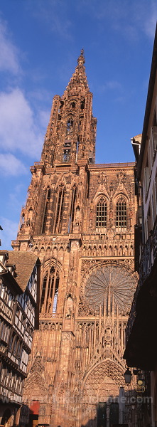 Strasbourg, Cathedrale Notre-Dame (Notre-Dame cathedral), Alsace, France - FR-ALS-0187