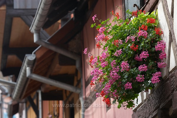 Eguisheim, Haut Rhin, Alsace, France -  FR-ALS-0200