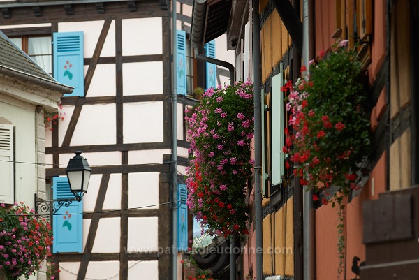 Eguisheim, Haut Rhin, Alsace, France - FR-ALS-0201