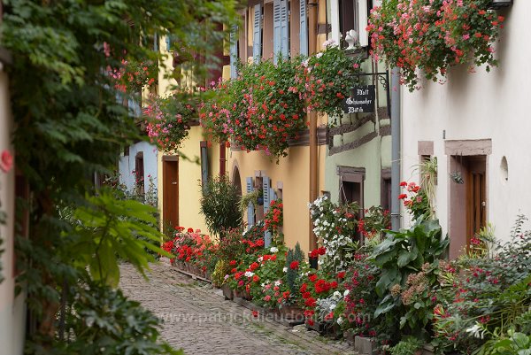 Eguisheim, Haut Rhin, Alsace, France - FR-ALS-0204