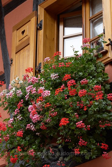 Eguisheim, Haut Rhin, Alsace, France - FR-ALS-0205