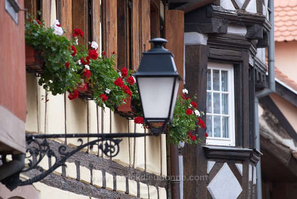 Eguisheim, Haut Rhin, Alsace, France - FR-ALS-0212