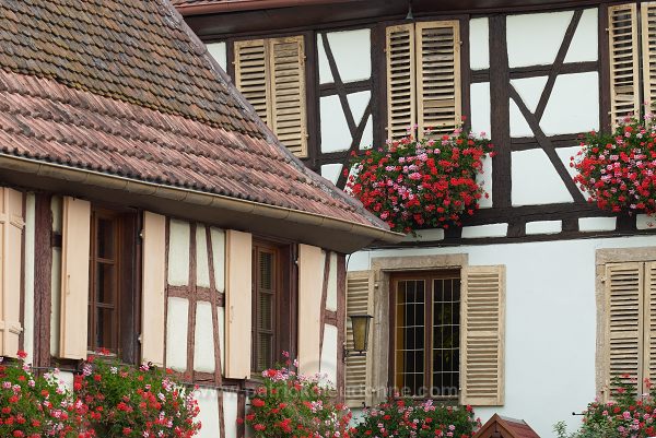 Eguisheim, Haut Rhin, Alsace, France - FR-ALS-0218