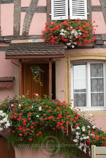 Eguisheim, Haut Rhin, Alsace, France - FR-ALS-0229