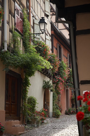 Eguisheim, Haut Rhin, Alsace, France - FR-ALS-0230