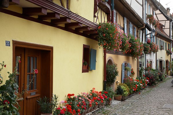 Eguisheim, Haut Rhin, Alsace, France - FR-ALS-0234