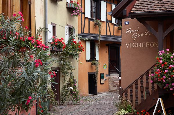 Eguisheim, Haut Rhin, Alsace, France - FR-ALS-0235