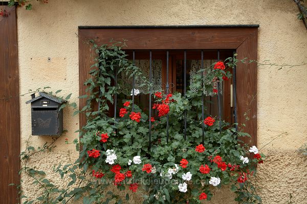 Eguisheim, Haut Rhin, Alsace, France - FR-ALS-0236