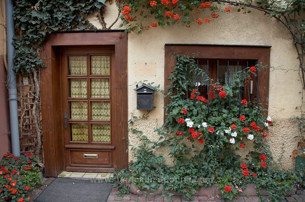 Eguisheim, Haut Rhin, Alsace, France - FR-ALS-0237