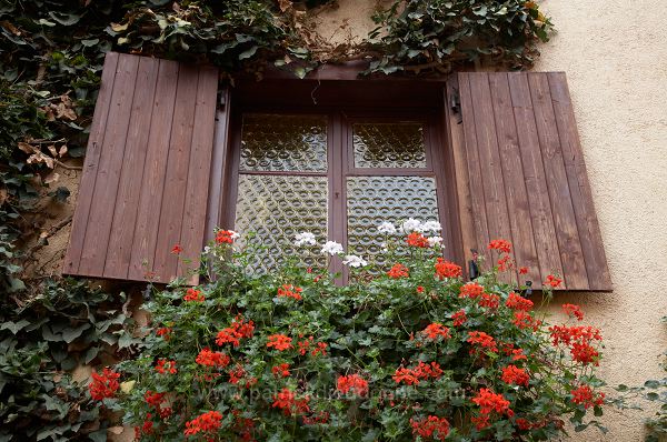 Eguisheim, Haut Rhin, Alsace, France - FR-ALS-0238