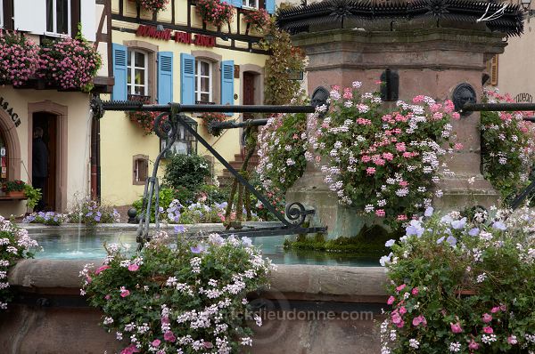 Eguisheim, Haut Rhin, Alsace, France - FR-ALS-0247