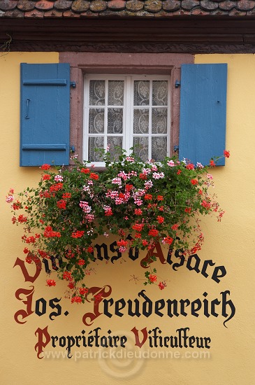Eguisheim, Haut Rhin, Alsace, France - FR-ALS-0251