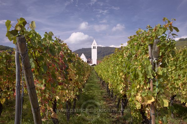 Katzenthal, Haut Rhin, Alsace, France - FR-ALS-0258