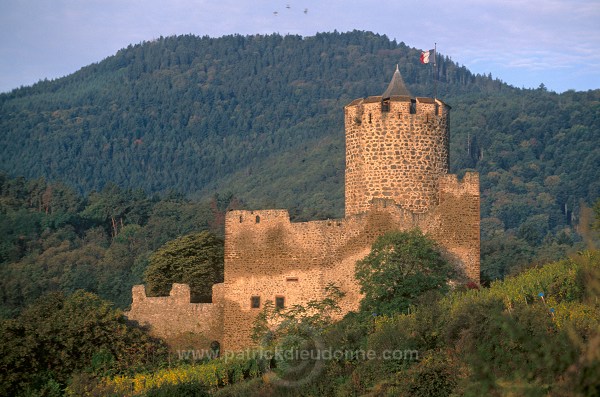 Kaysersberg, imperial castle (chateau imperial), Alsace, France - FR-ALS-0260
