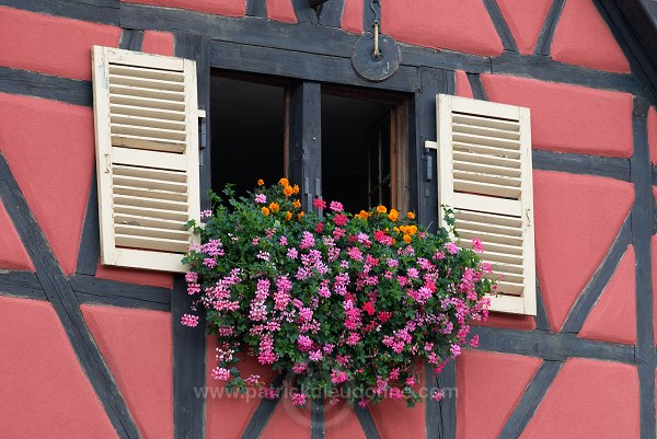 Kientzheim, Haut Rhin, Alsace, France - FR-ALS-0273