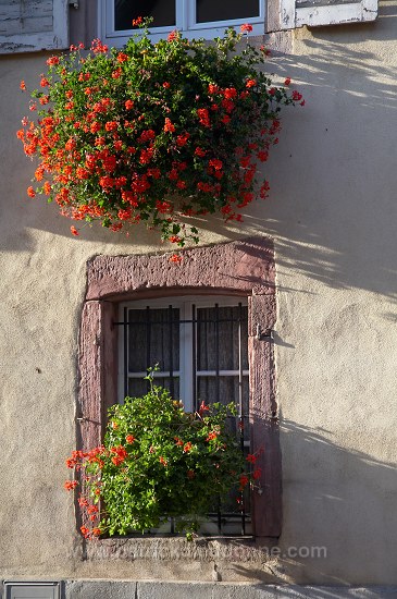 Kientzheim, Haut Rhin, Alsace, France - FR-ALS-0294