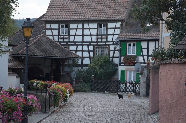 Kientzheim, Haut Rhin, Alsace, France - FR-ALS-0300