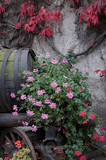 Kientzheim, Musee du vin (Alsatian Vine Museum), Alsace, France - FR-ALS-0309