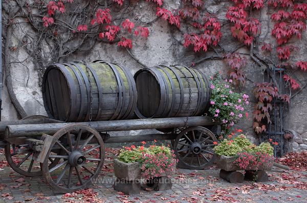 Kientzheim, Musee du vin (Alsatian Vine Museum), Alsace, France - FR-ALS-0310