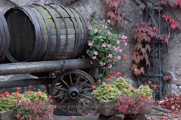 Kientzheim, Musee du vin (Alsatian Vine Museum), Alsace, France - FR-ALS-0311