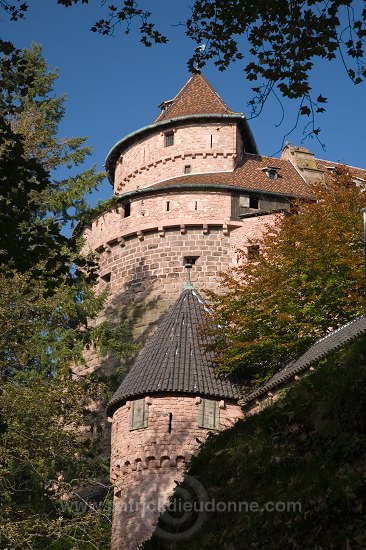 Haut-Koenigsbourg, chateau medieval (medieval castle), Alsace, France - FR-ALS-0322