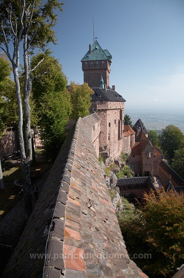 Haut-Koenigsbourg, chateau medieval (medieval castle), Alsace, France - FR-ALS-0354