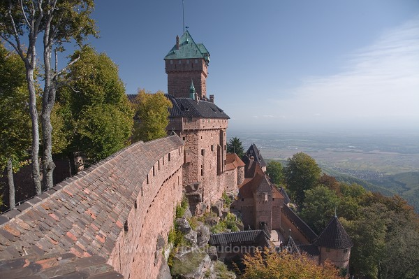 Haut-Koenigsbourg, chateau medieval (medieval castle), Alsace, France - FR-ALS-0358
