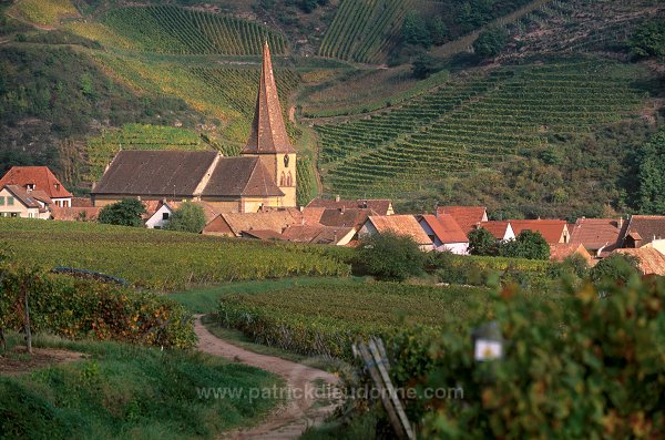 Niedermorschwihr, Haut Rhin, Alsace, France - FR-ALS-0423