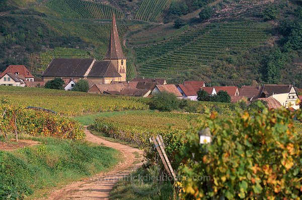 Niedermorschwihr, Haut Rhin, Alsace, France - FR-ALS-0424