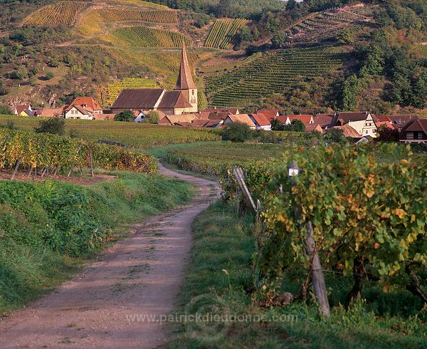 Niedermorschwihr, Haut Rhin, Alsace, France - FR-ALS-0428